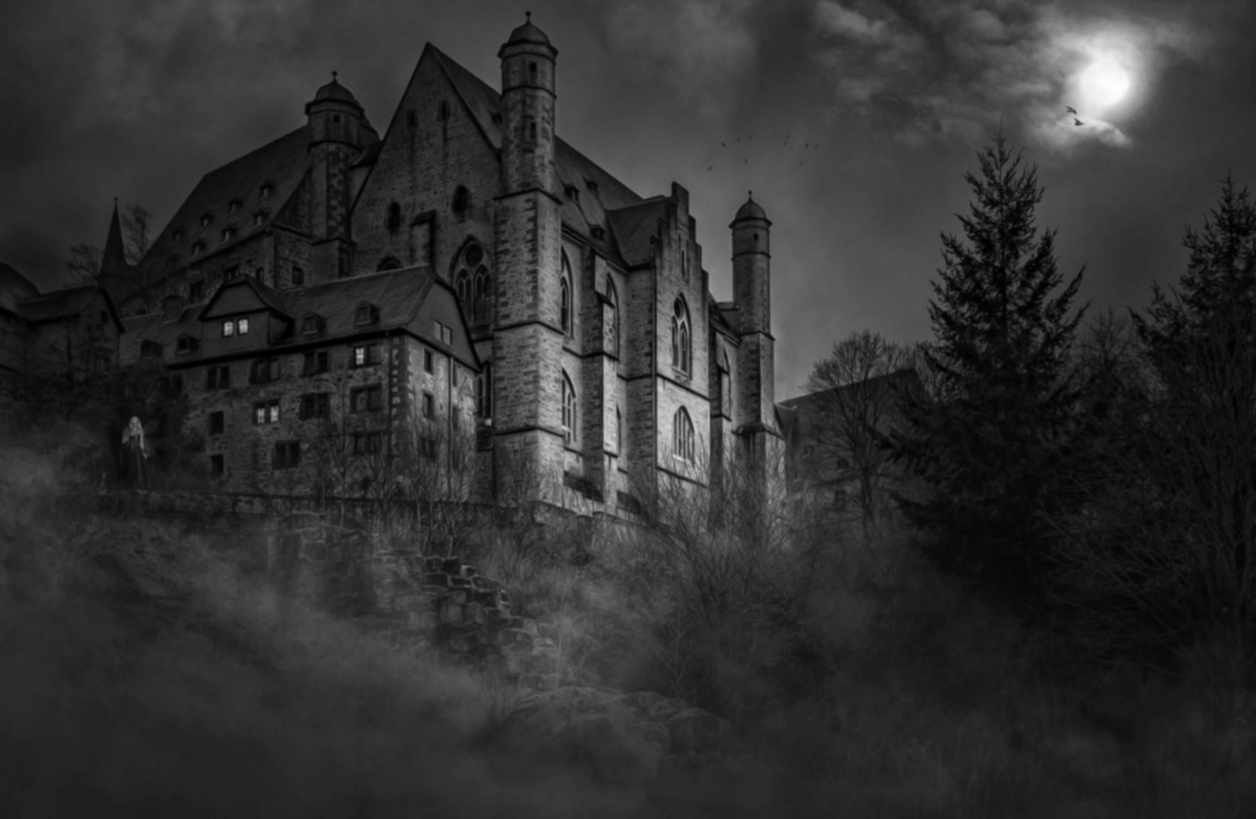 Zimodo sociale casino gaming entertainment platform